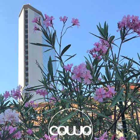 milano-stazione-centrale-coworking-6